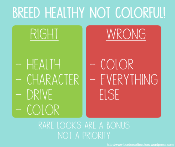 Breed-Healthy-not-Colorful